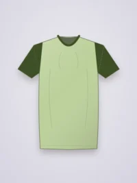 Island Regular Fit Men Tee - Pistachio
