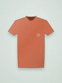Kite Regular Fit Men Tee - Terracotta
