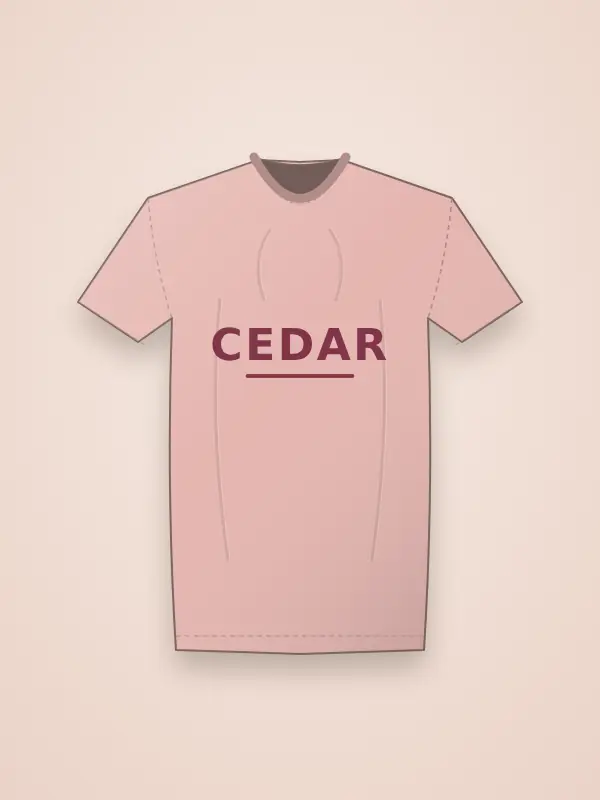 Women's Round Neck Printed T-Shirt – Cedar